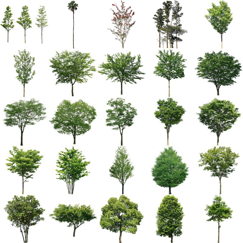 樹木切り抜きPNG素材セット 90個 free_trees_set02
