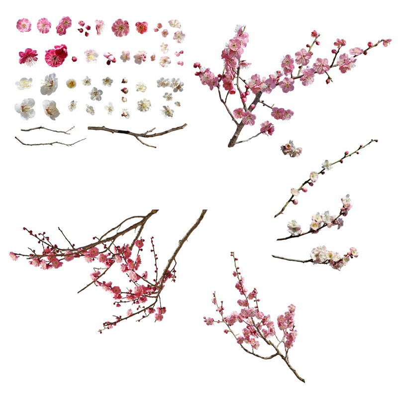 梅 切り抜きセット素材 Plum Trees 2u 01 樹木切り抜き素材 Shop Booth