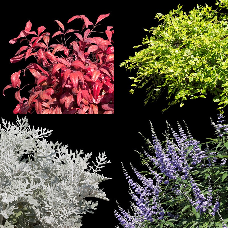 ガーデン植栽切り抜きセット369個 - リサイズ版