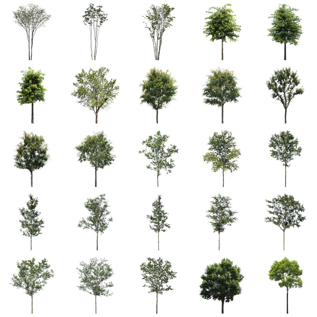樹木切り抜きPNG素材セット　50個　free_trees_50p_004