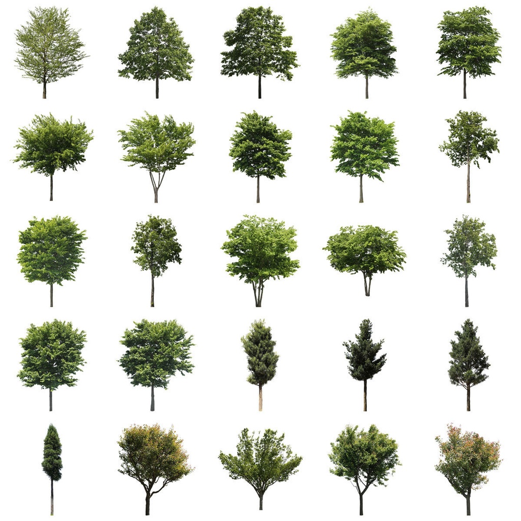 樹木切り抜きPNG素材セット　50個　free_trees_50p_005