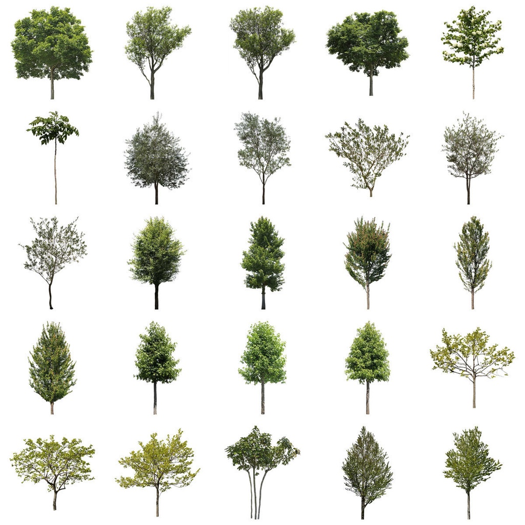 樹木切り抜きPNG素材セット　50個　free_trees_50p_006