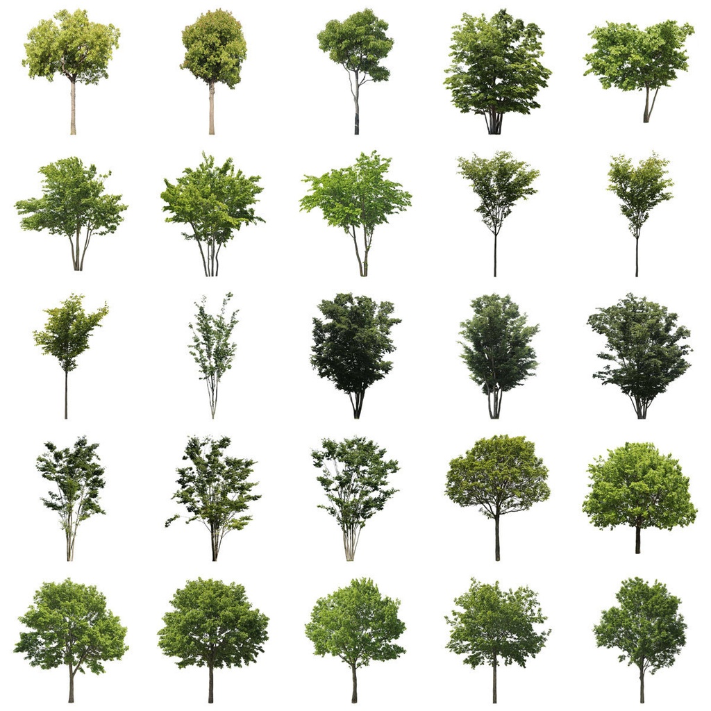 樹木切り抜きPNG素材セット　50個　free_trees_50p_007