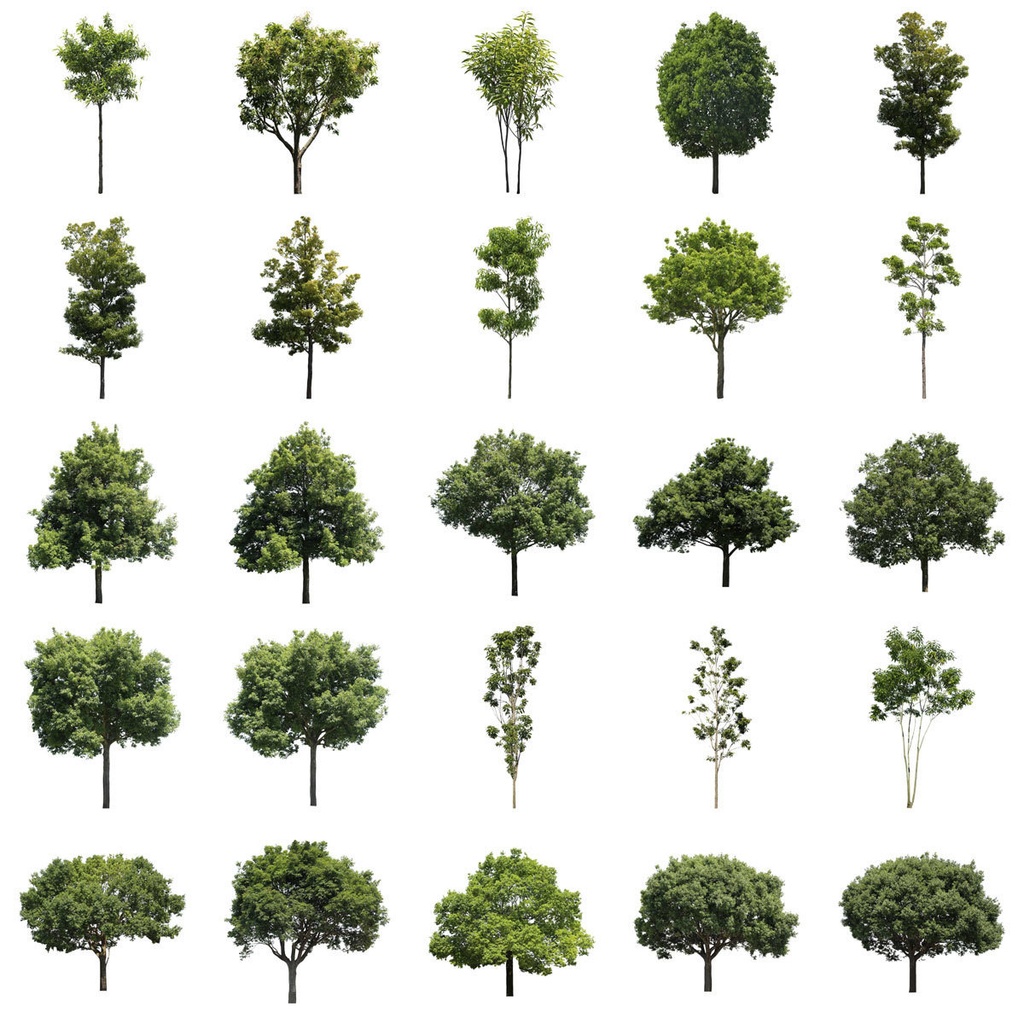 樹木切り抜きPNG素材セット　50個　free_trees_50p_008