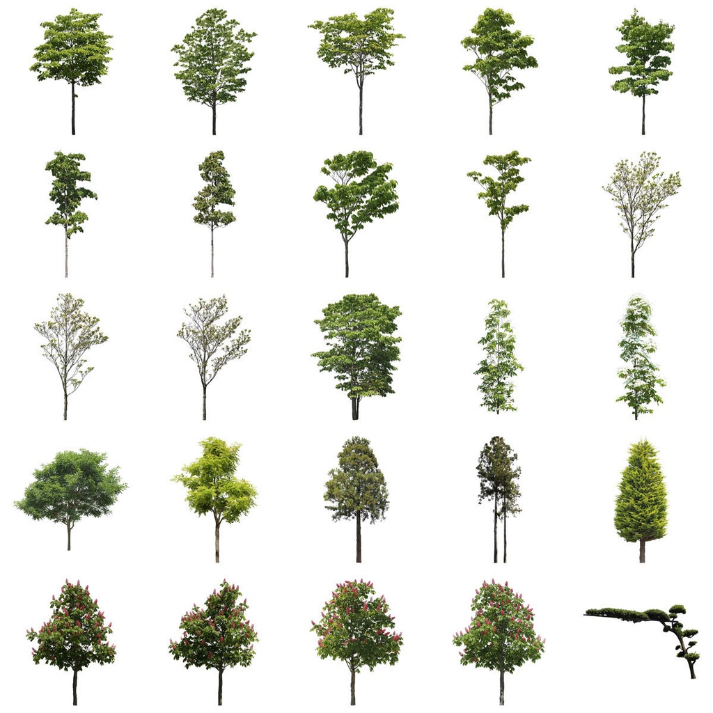樹木切り抜きPNG素材セット　50個　free_trees_50p_009