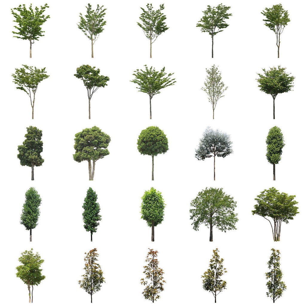 樹木切り抜きPNG素材セット　30個　free_trees_30p_010