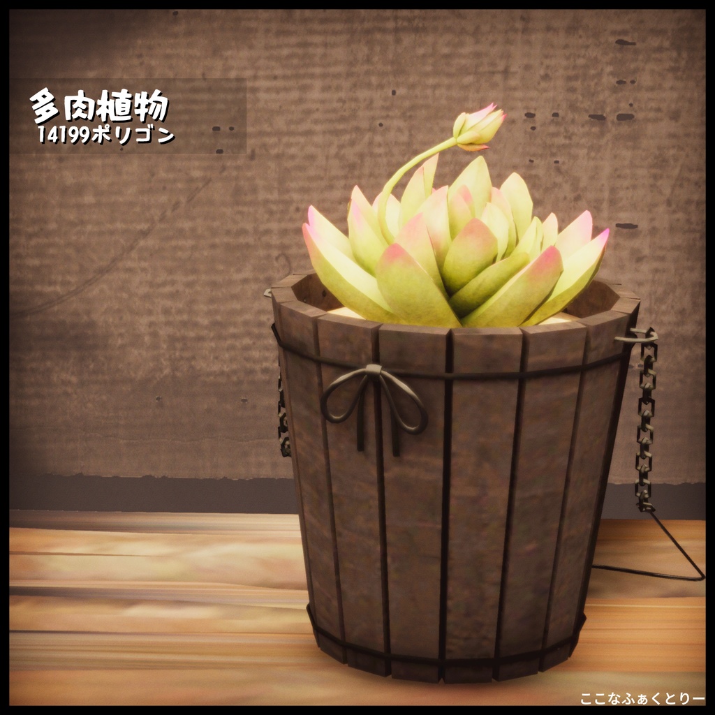 【3Dmodel】多肉植物