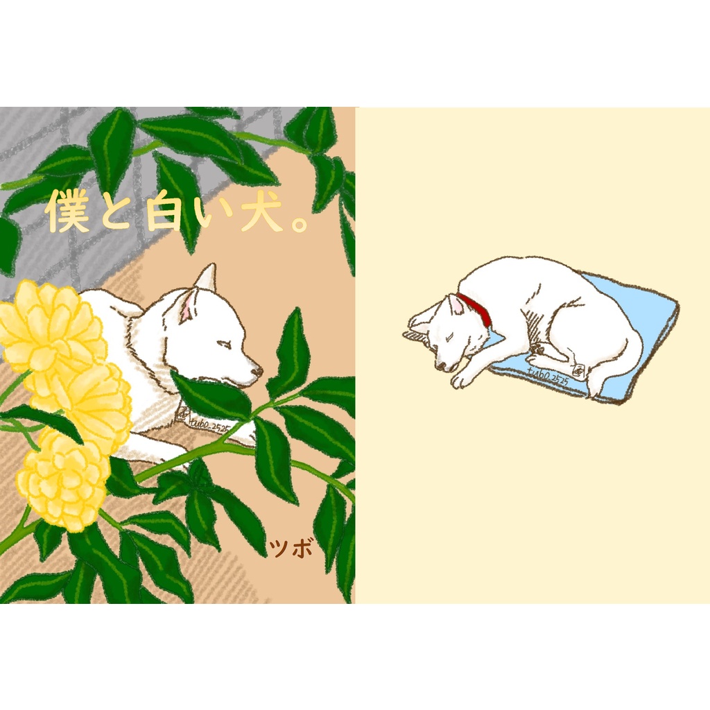 僕と白い犬 白い犬 Booth