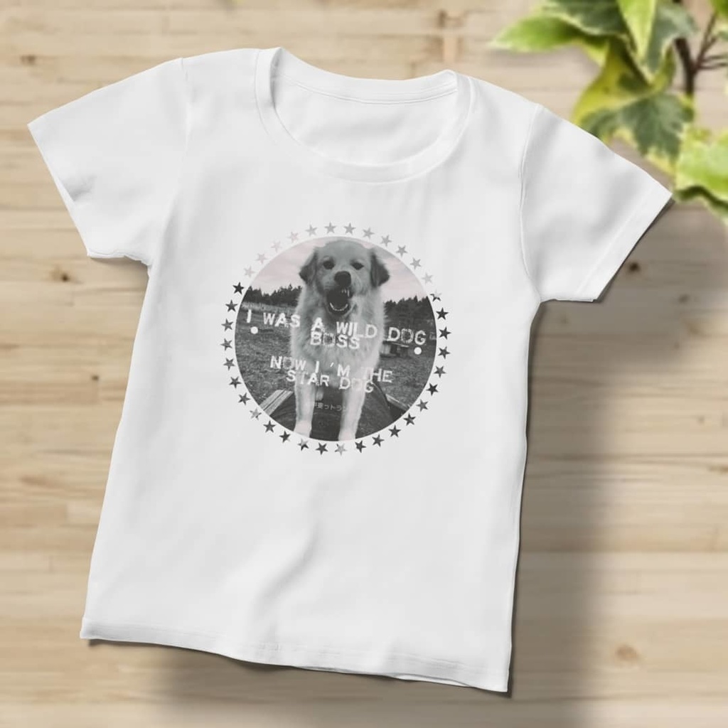 レディースTシャツ／マル礼賛