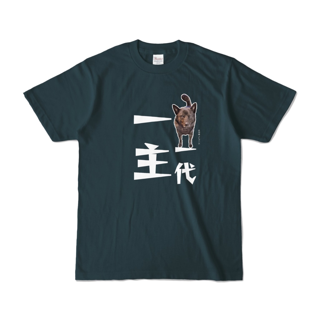 甲斐犬 濃色カラーTシャツ／一代一主