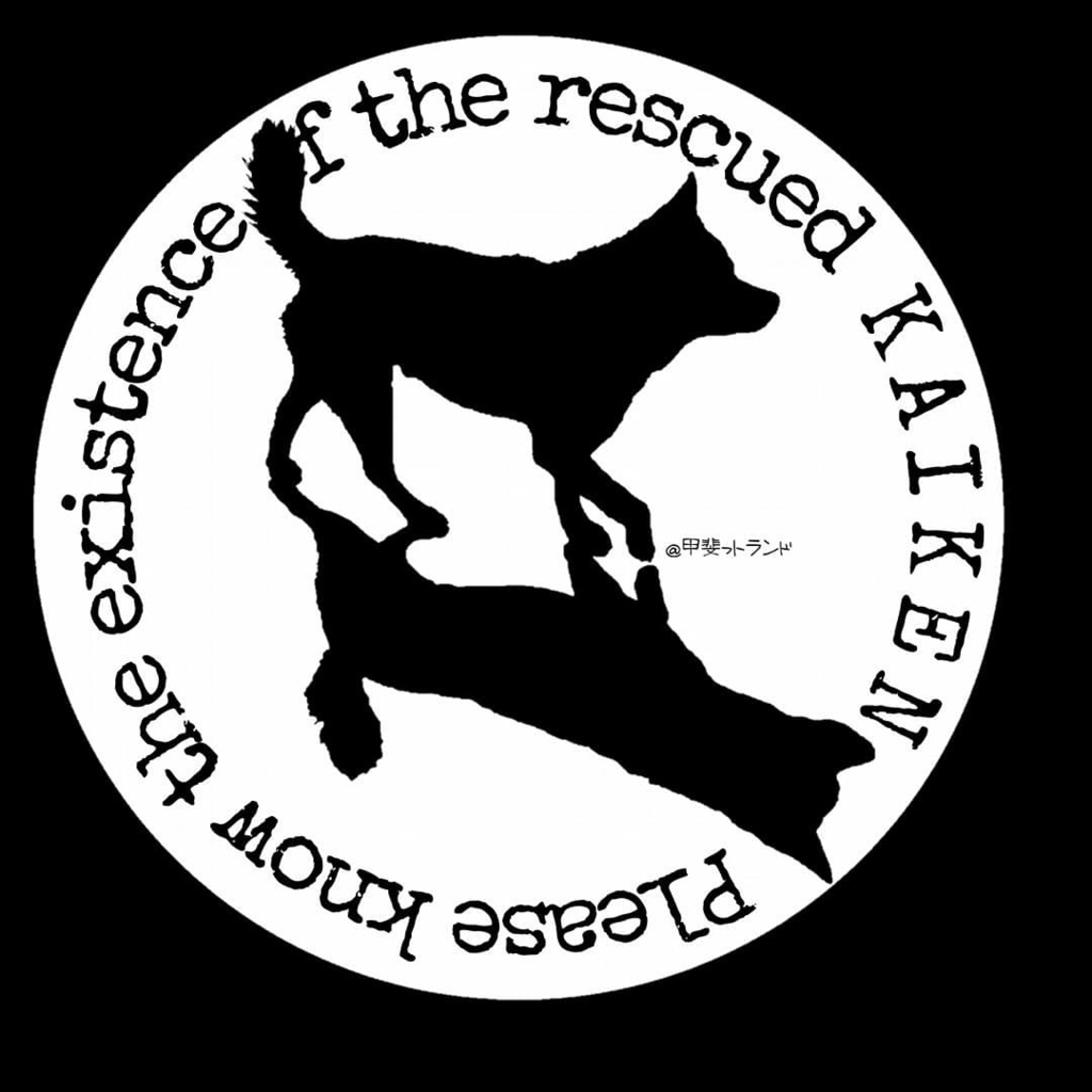 ウィンドブレーカー/rescued KAIKEN