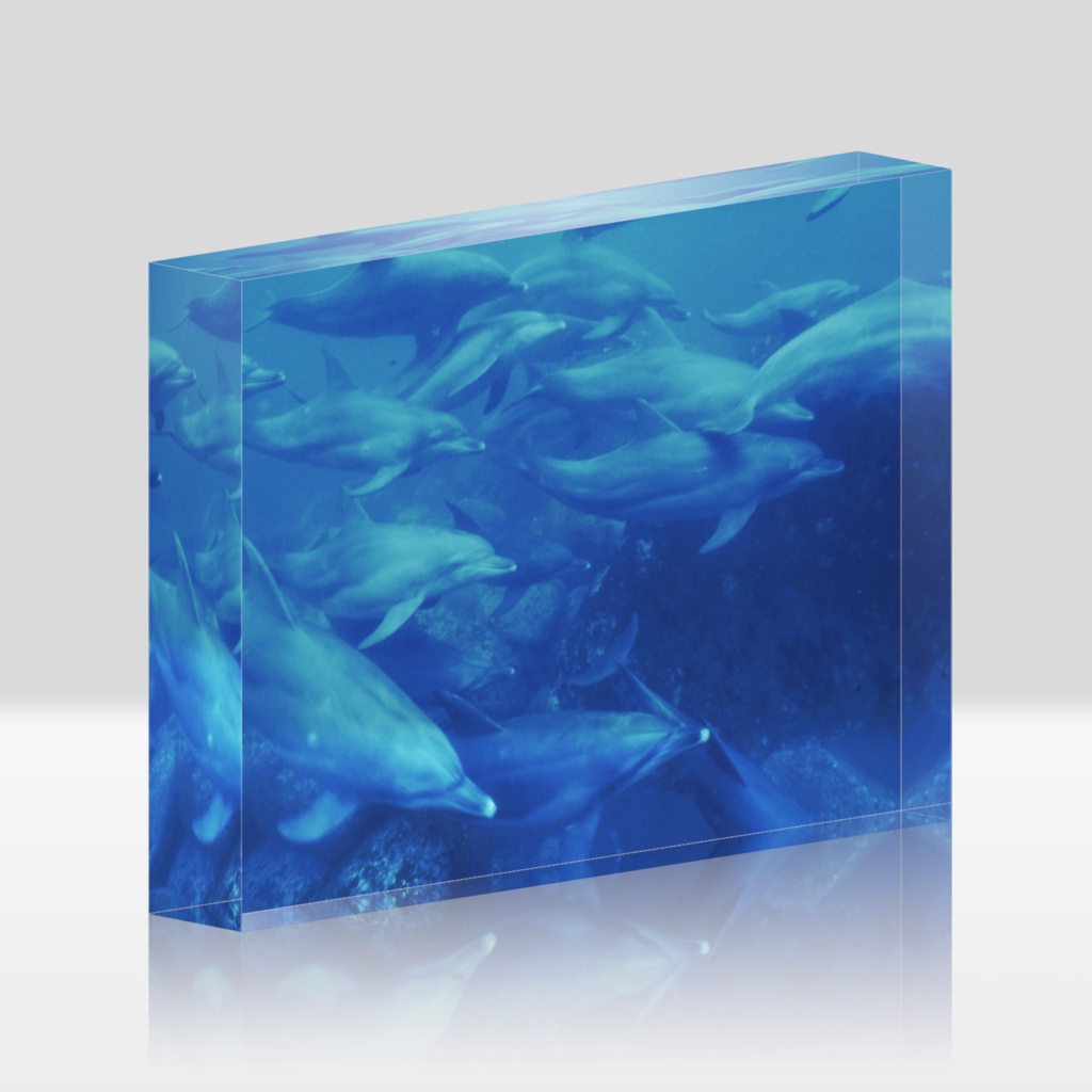 イルカアクリルブロック-Y-0195