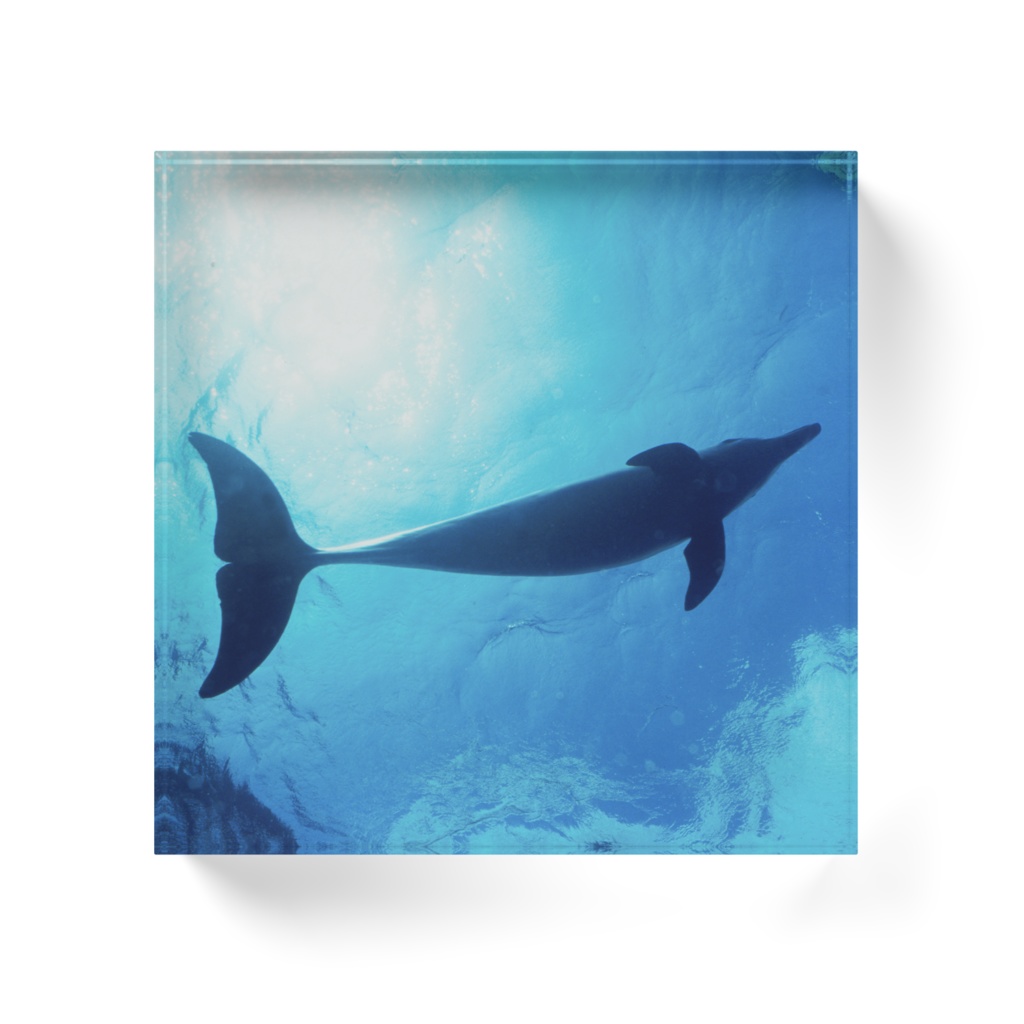 宇宙(そら)へ、イルカアクリルブロック-04