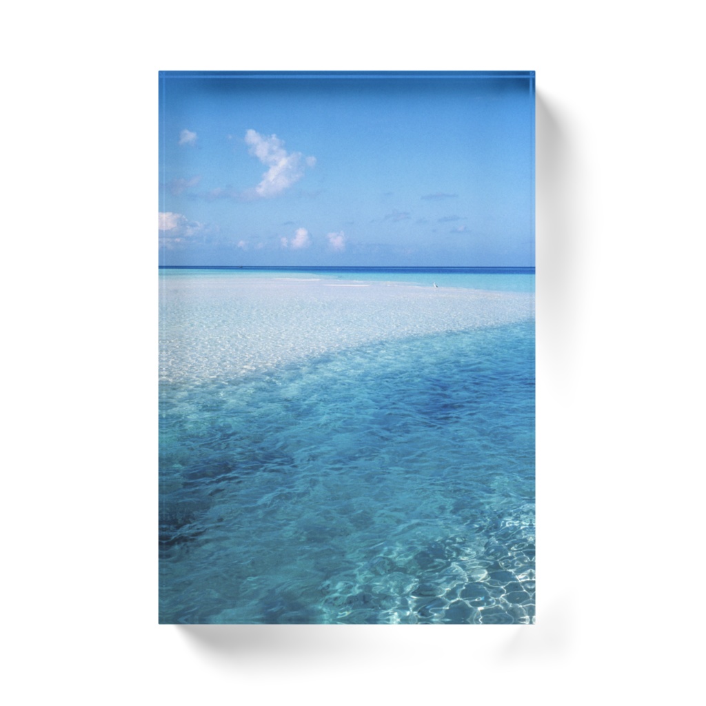 白鷺と水平線、アクリルブロック-T-014