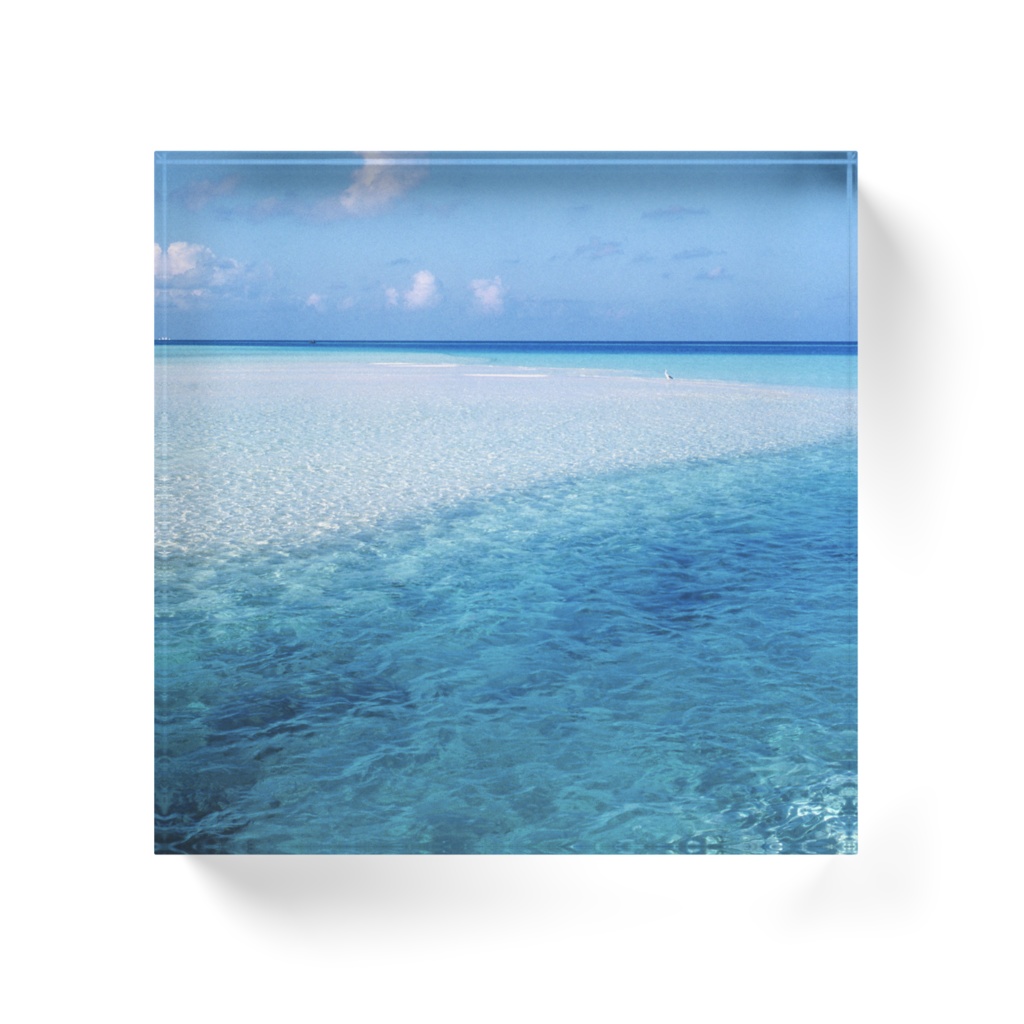 白鷺と水平線、アクリルブロック-014