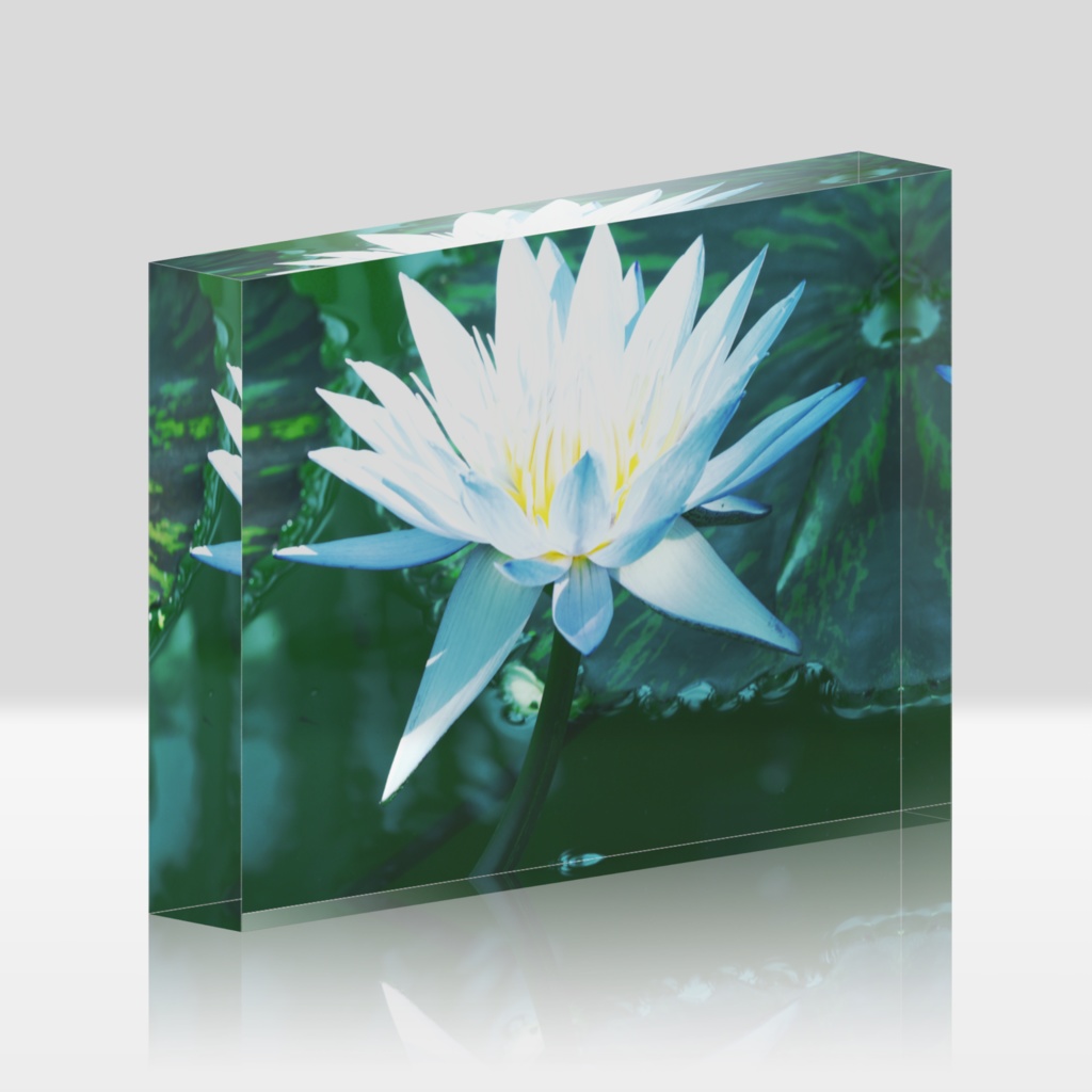 青い炎、花のアクリルブロック-Y-017