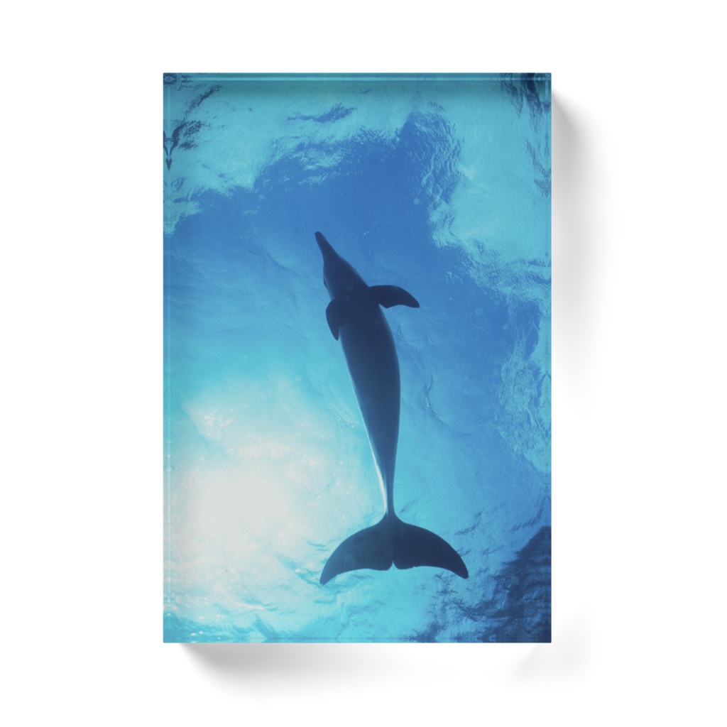 宇宙(そら)へ、イルカのアクリルブロック-T-04