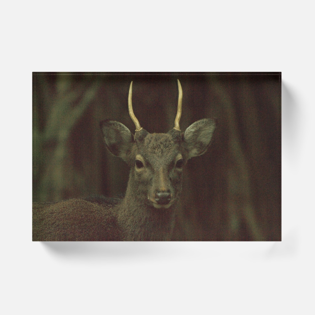 瞳-020,アクリルブロック