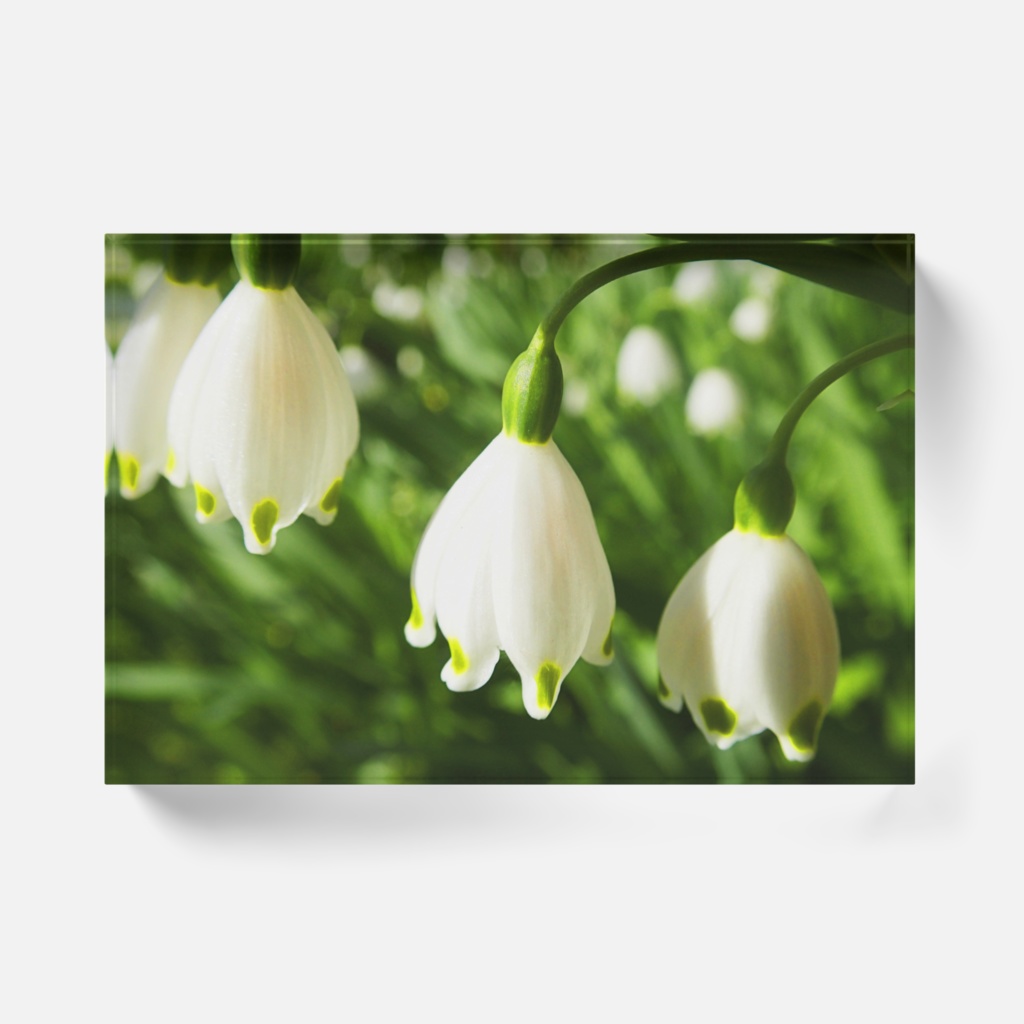 スノーフレーク-022,アクリルブロック