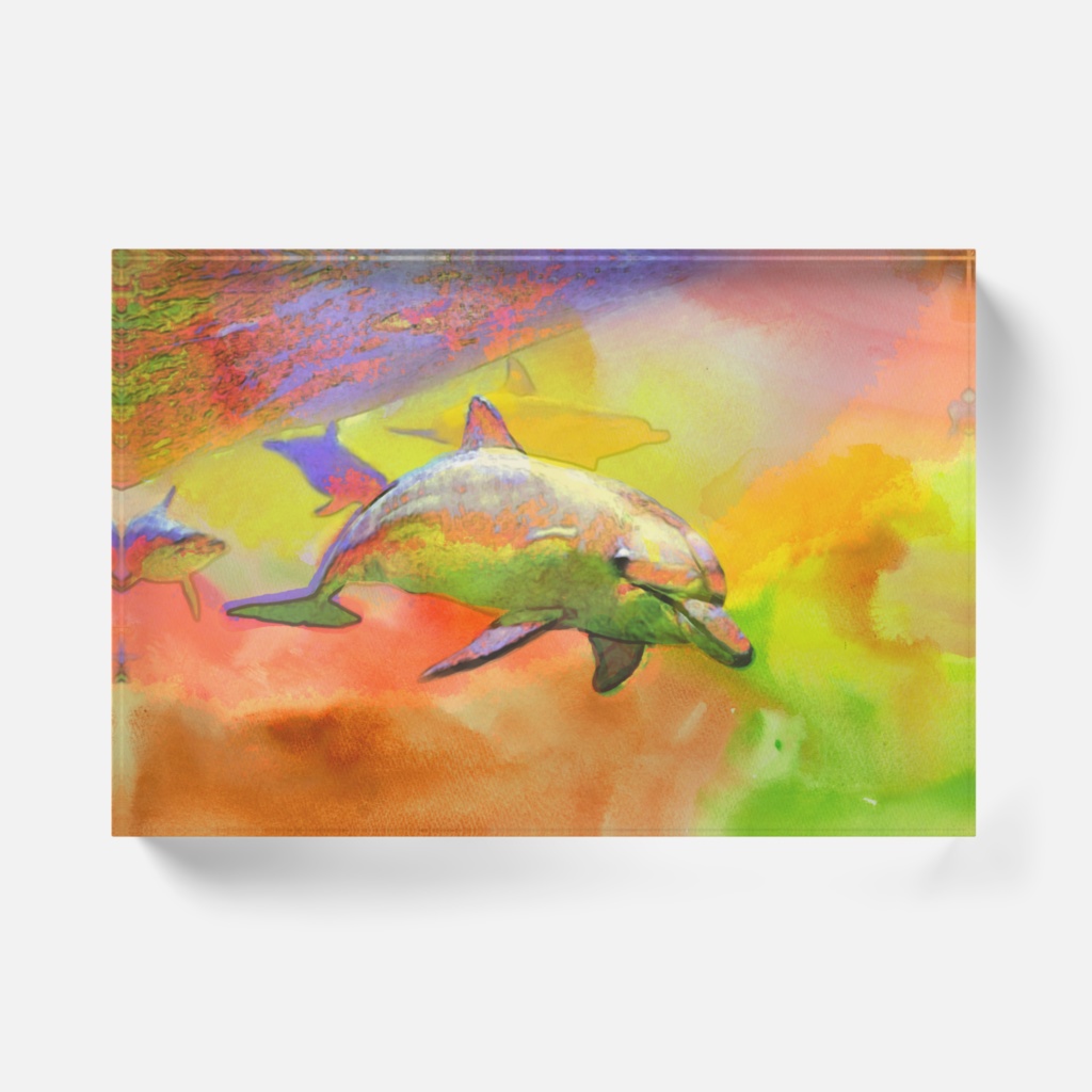 イルカ-Y-021,アクリルブロック