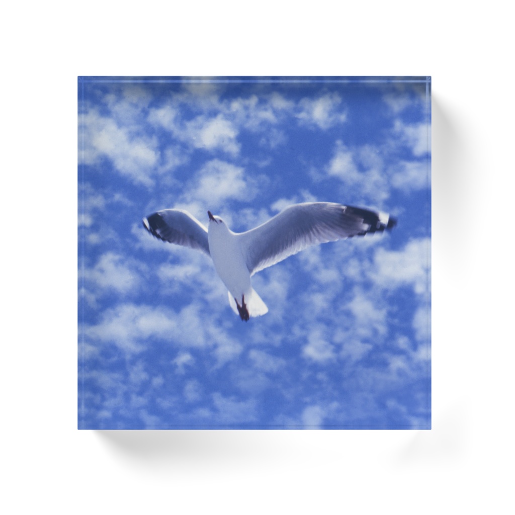 海鳥-032,アクリルブロック