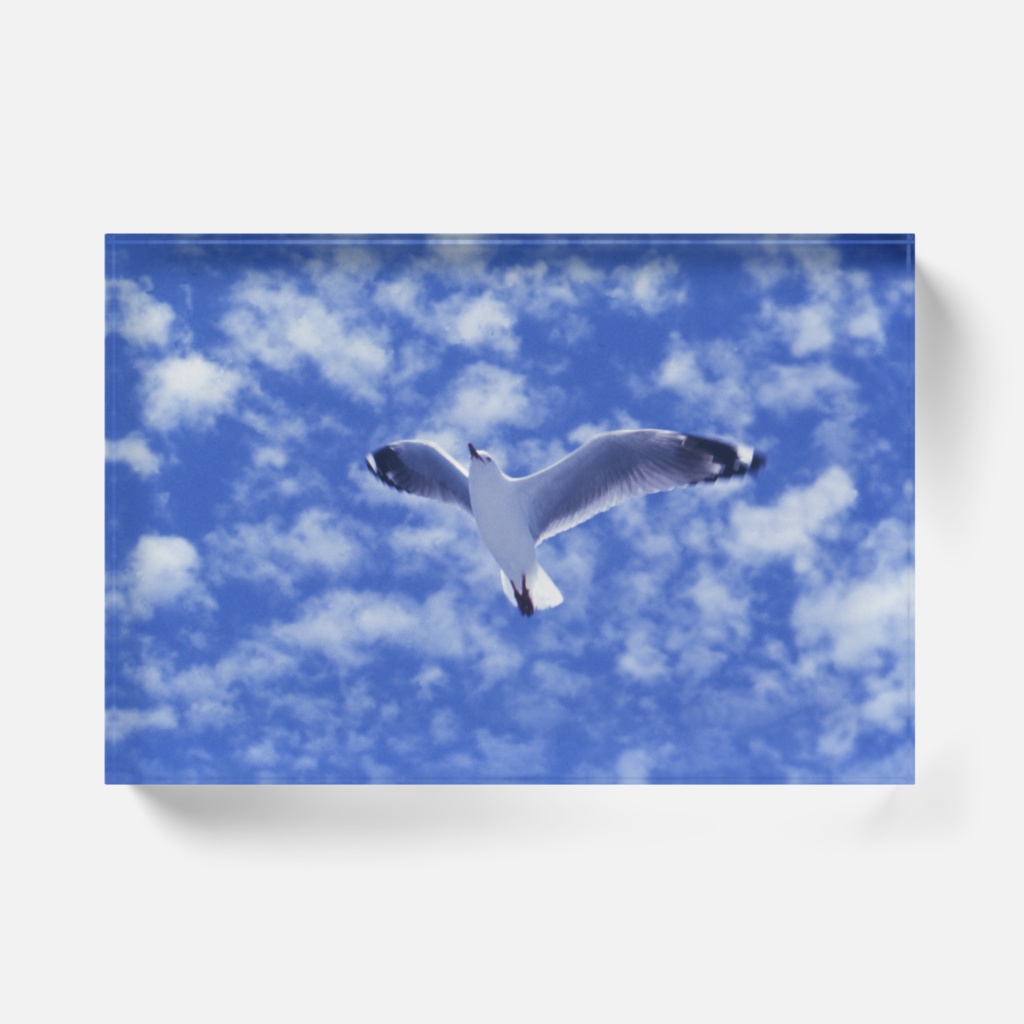 海鳥-Y-032.アクリルブロック