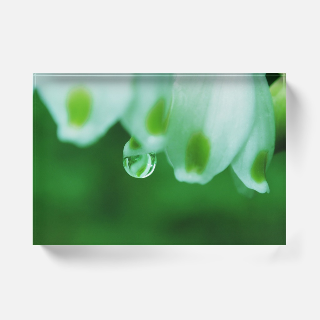 スノーフレークのしずく-Y-042、アクリルブロック