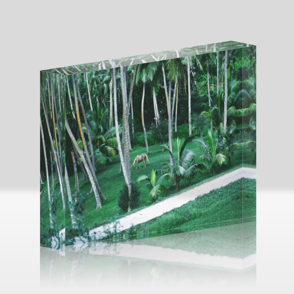 ココティエの小径-Y-045、アクリルブロック