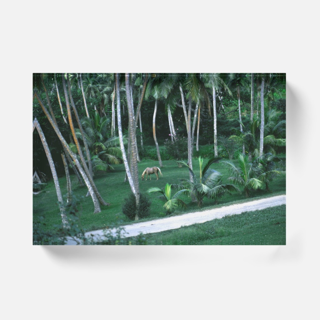 ココティエの小径-Y-045、アクリルブロック