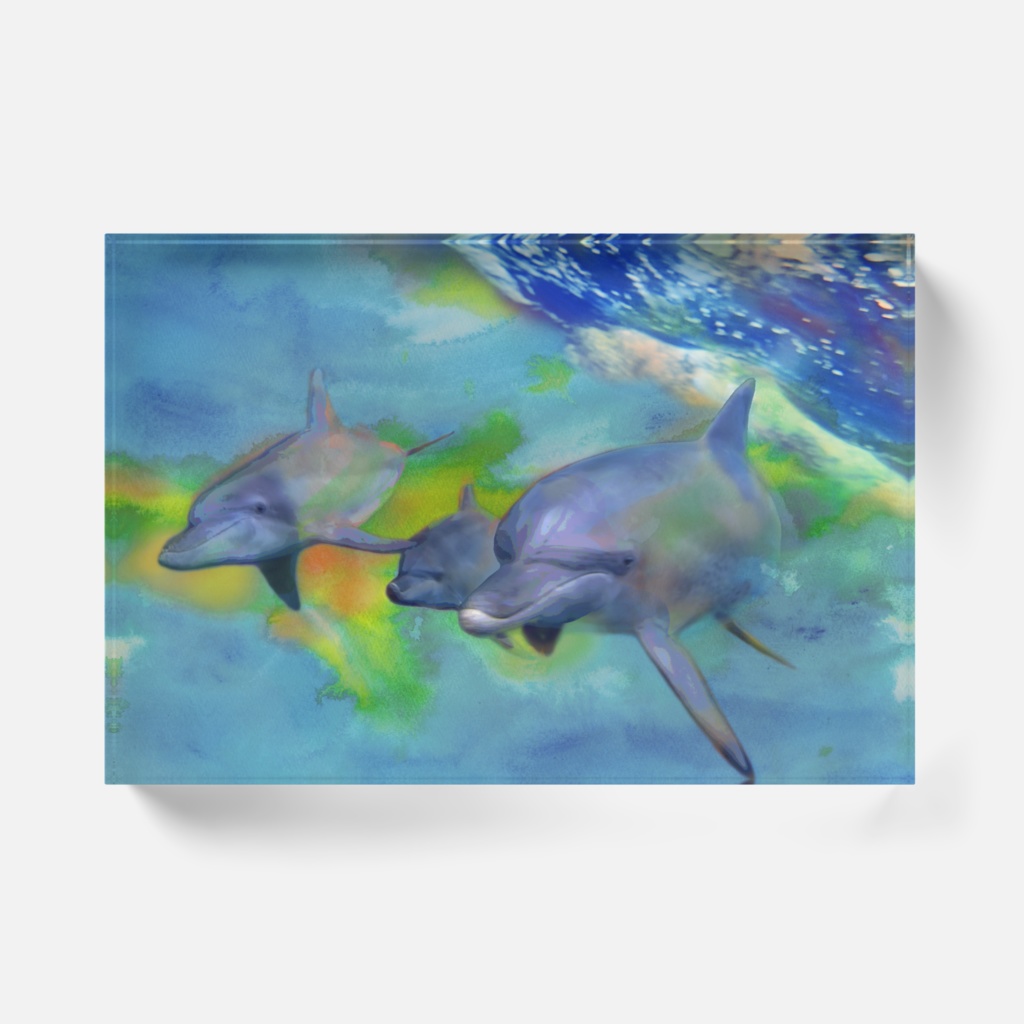 ブルートレイル-Y-024、アクリルブロック