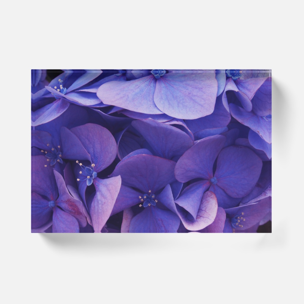 紫炎-Y-040、アクリルブロック