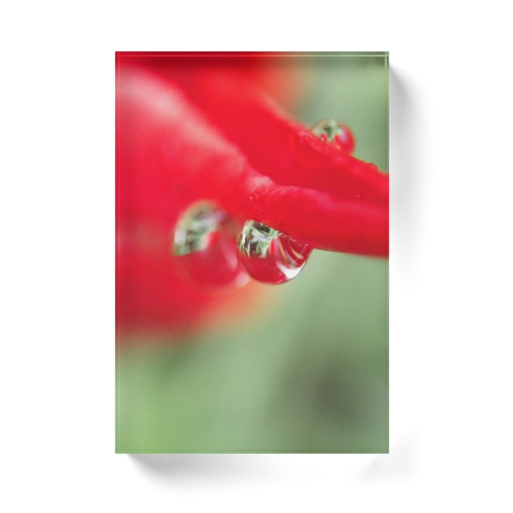 しずく-T-060、アクリルブロック