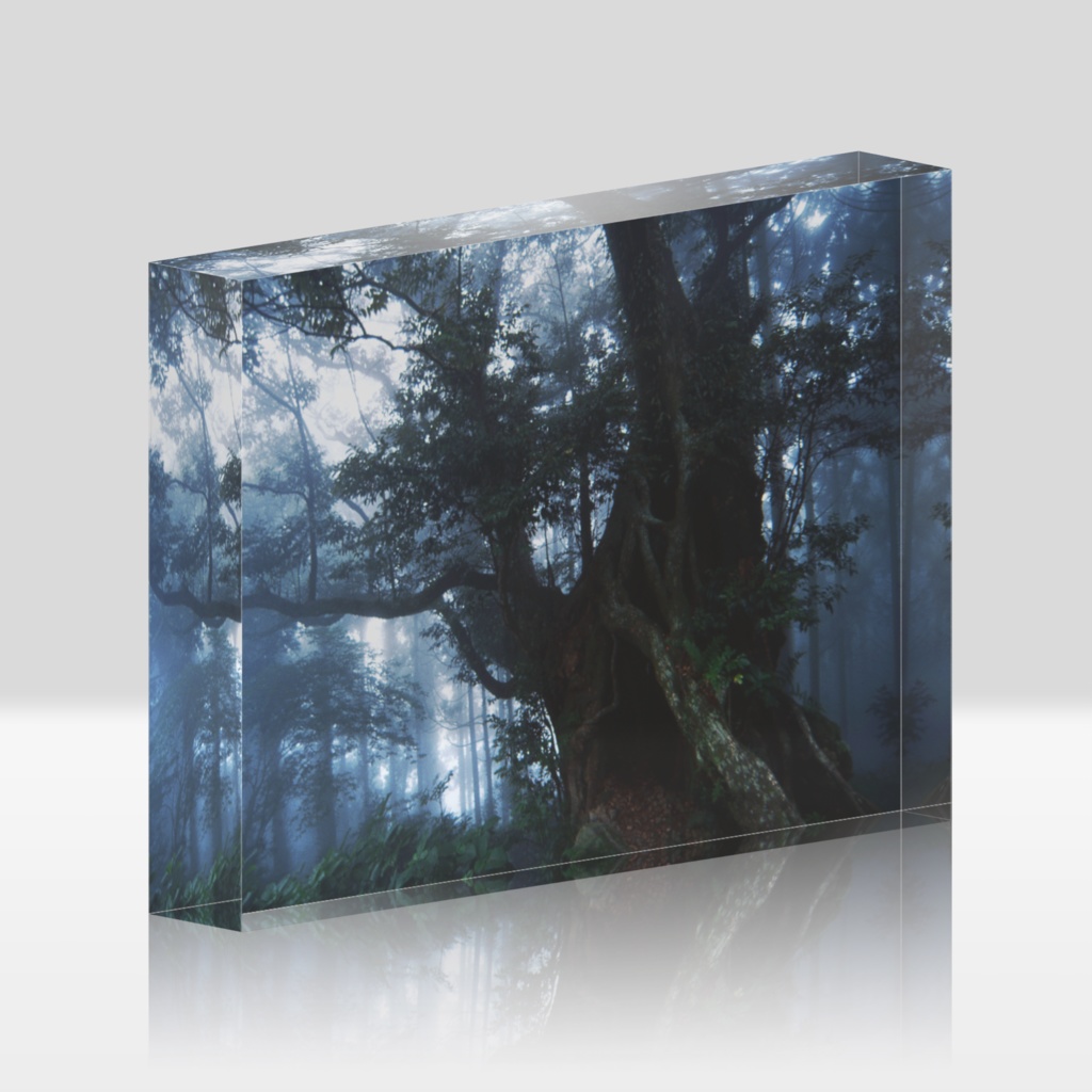 霧の森-Y-065、アクリルブロック