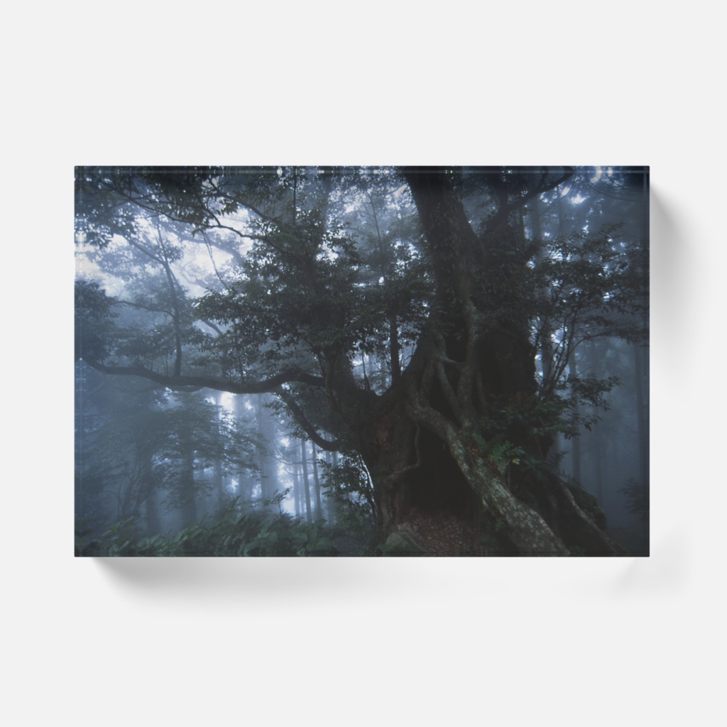 霧の森-Y-065、アクリルブロック