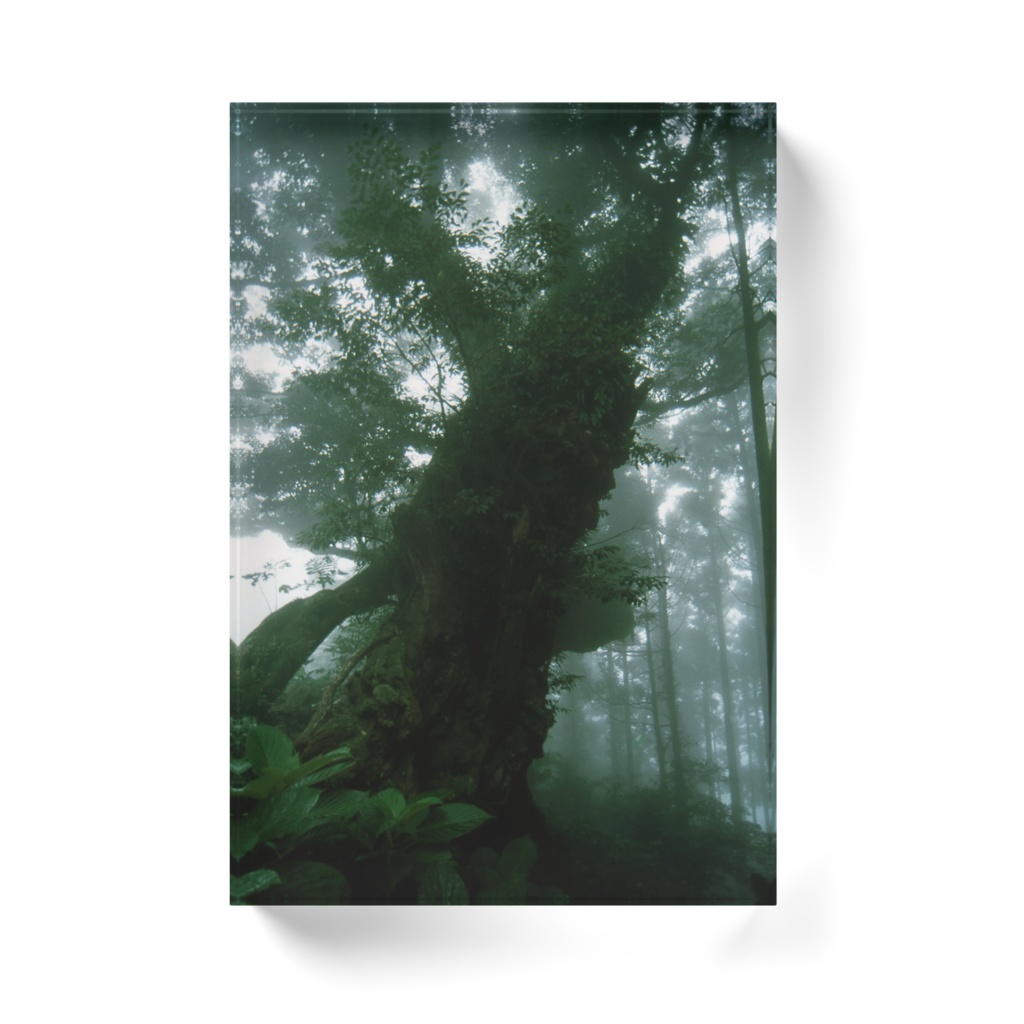 霧の森-T-066、アクリルブロック