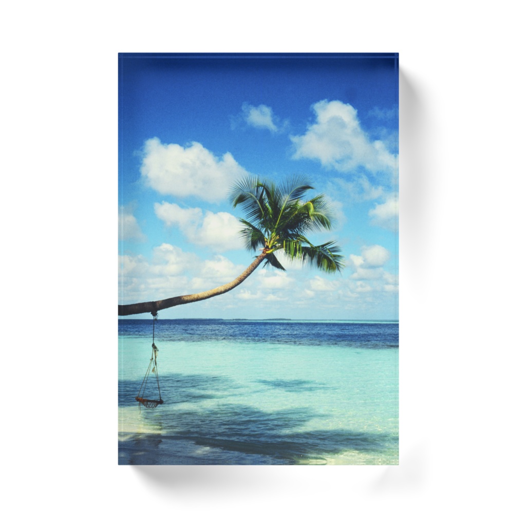椰子の木と水平線-T-063,アクリルブロック