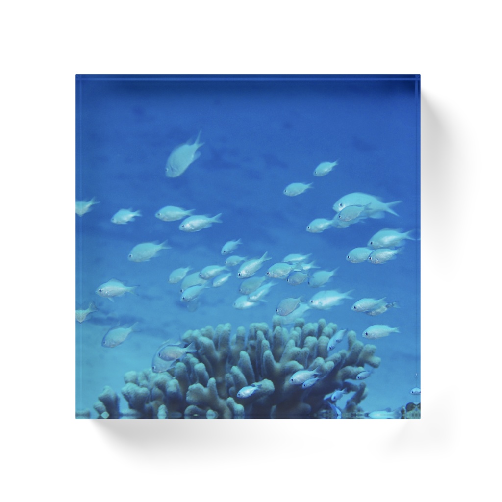 沖縄水中風景-064、アクリルブロック