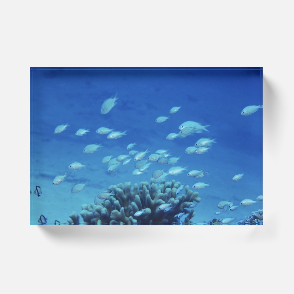 沖縄水中風景-Y-064、アクリルブロック