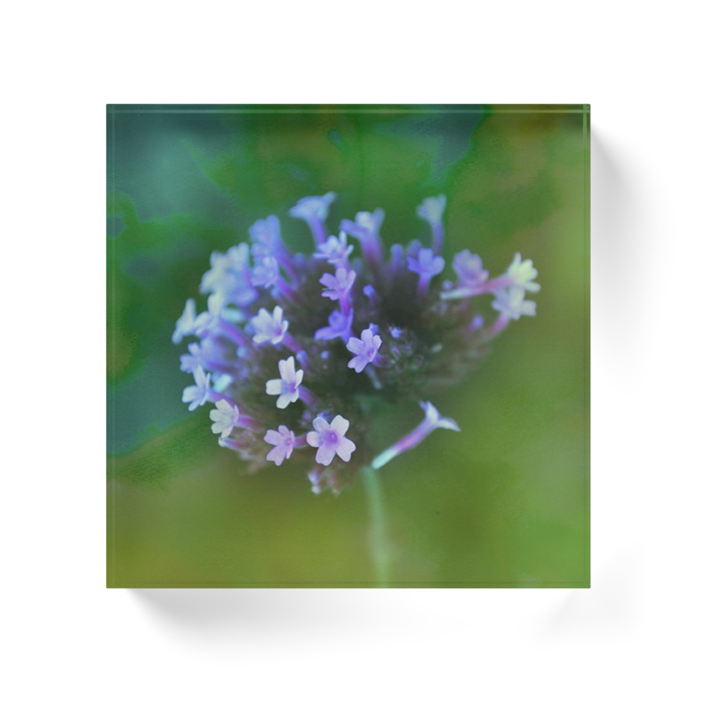 うれい-032、アクリルブロック