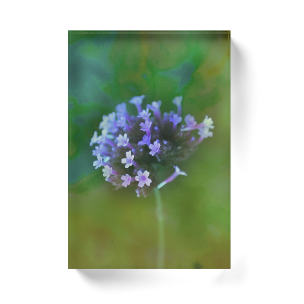 うれい-T-032、アクリルブロック