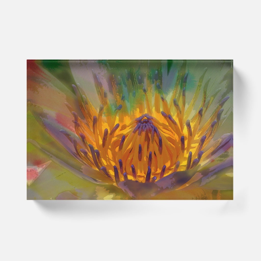 アンサンブル-Y-05、アクリルブロック