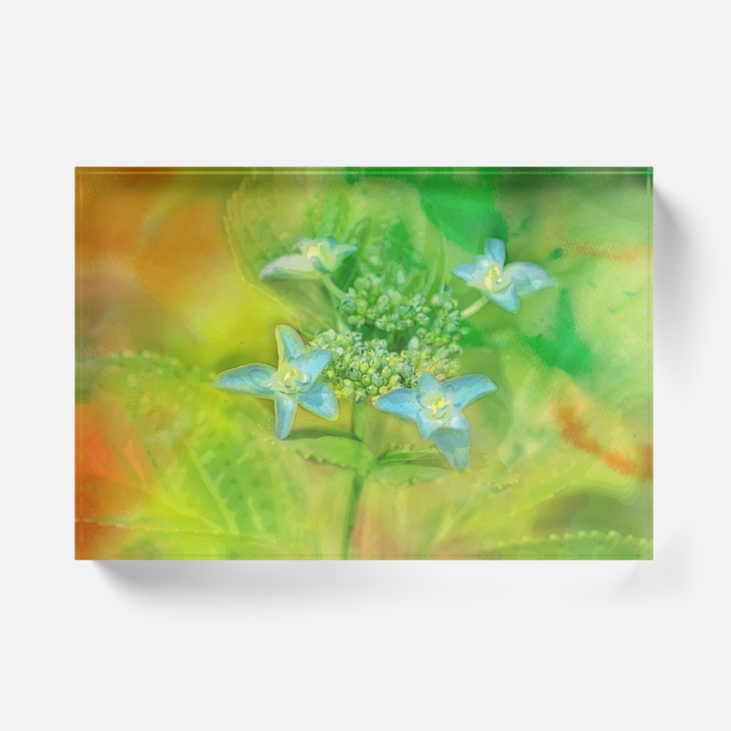 芽生え-Y-04、アクリルブロック