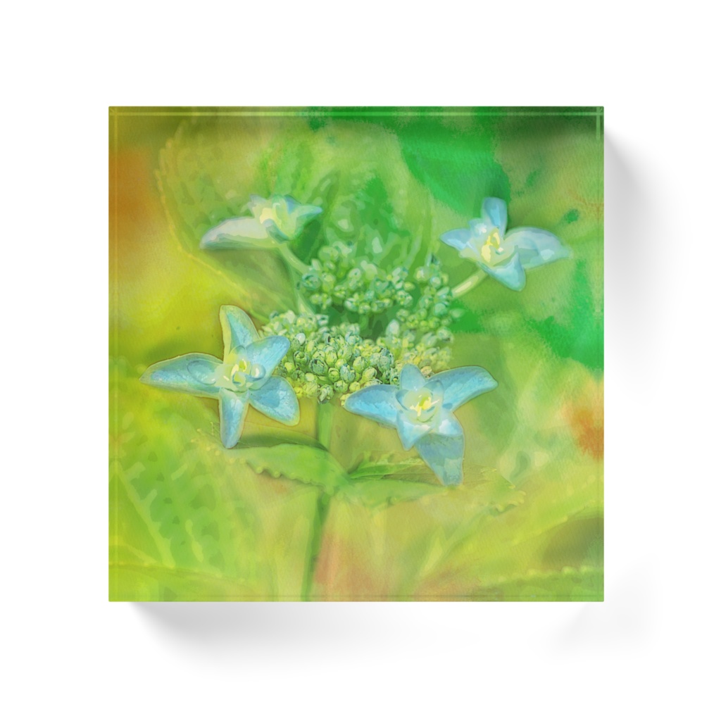 芽生え-04、アクリルブロック