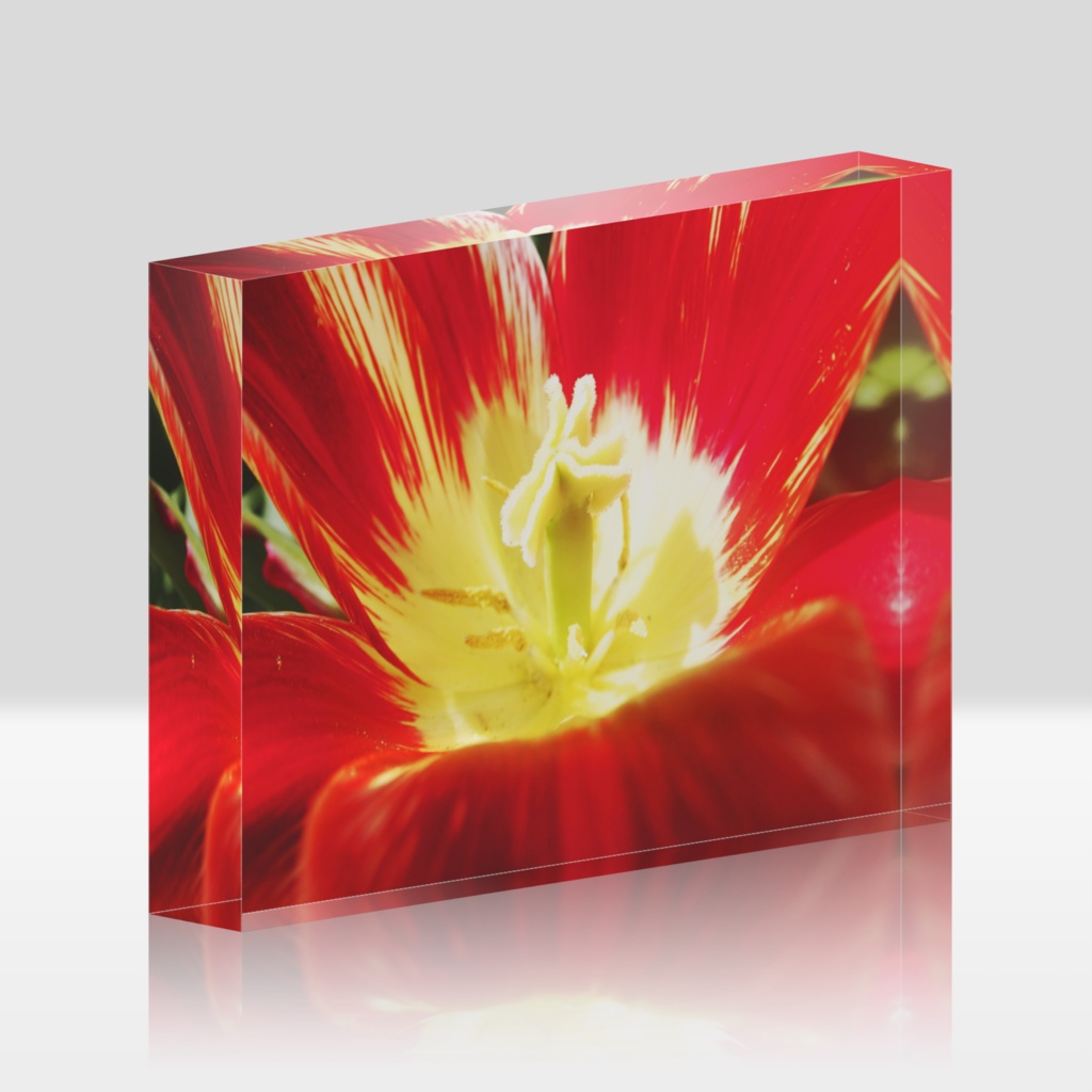 バレリーナ-Y-074、アクリルブロック