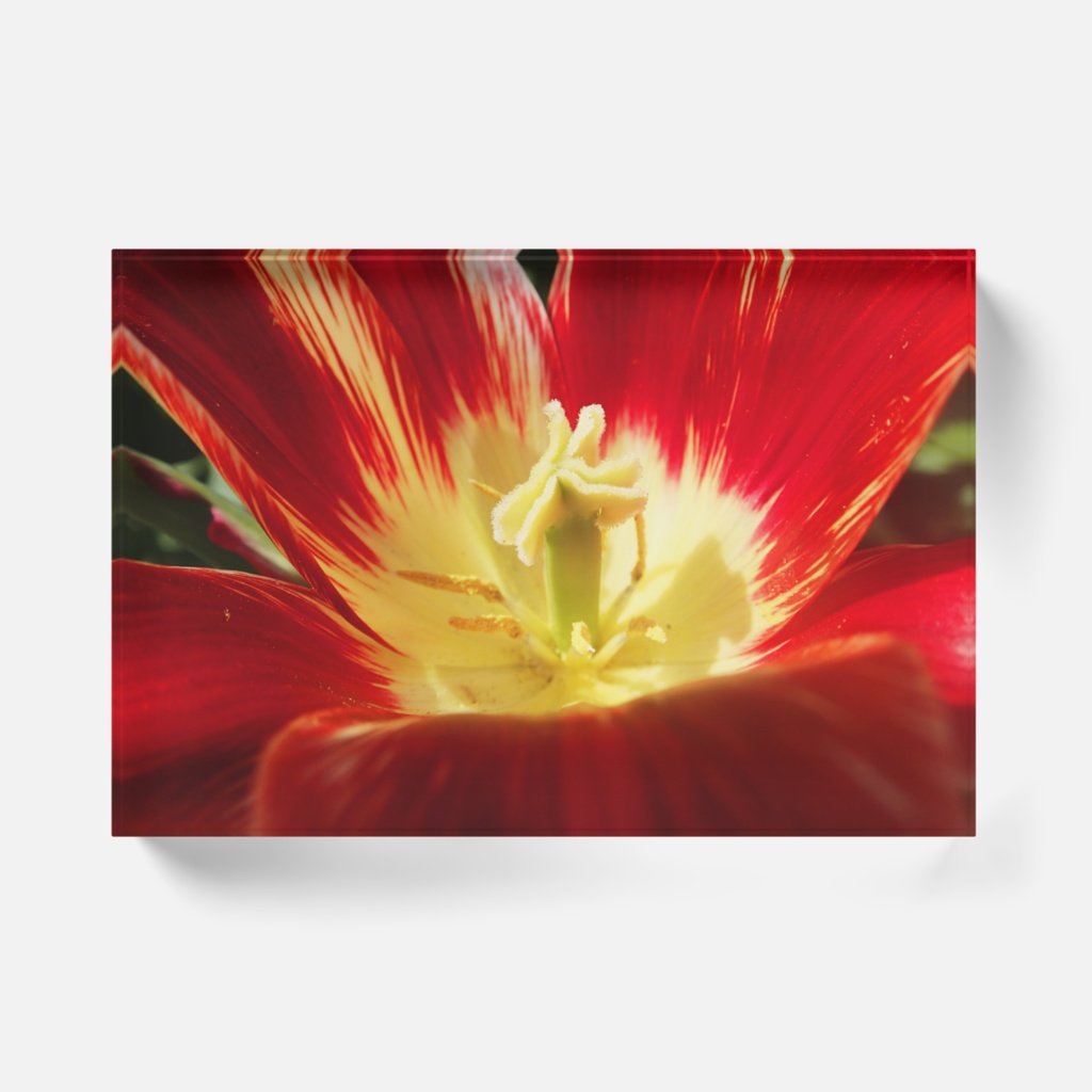 バレリーナ-Y-074、アクリルブロック