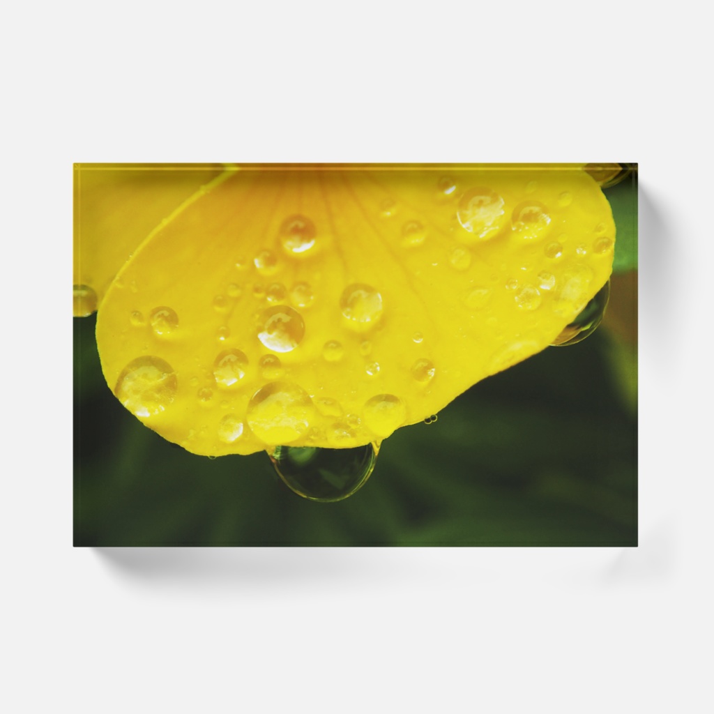 drops-Y-073、アクリルブロック