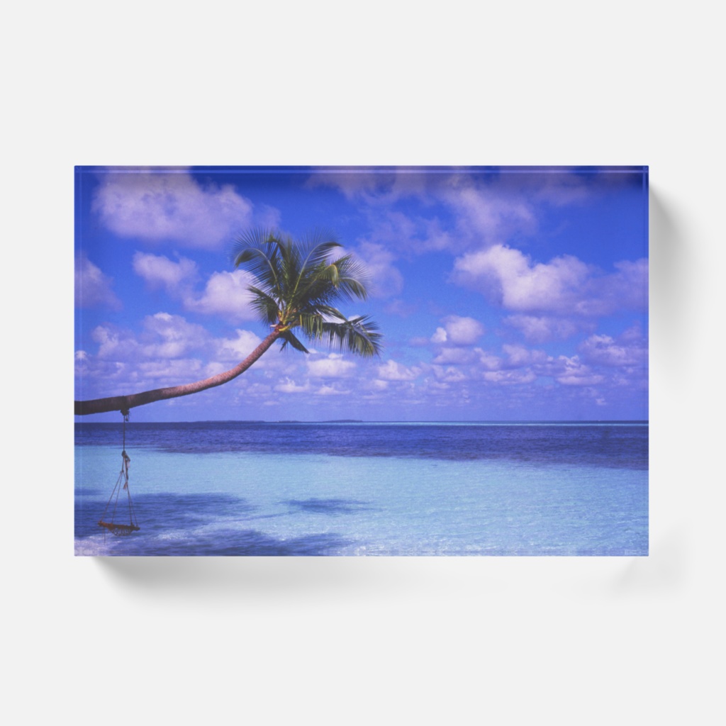 椰子の木と水平線-Y-099、アクリルブロック