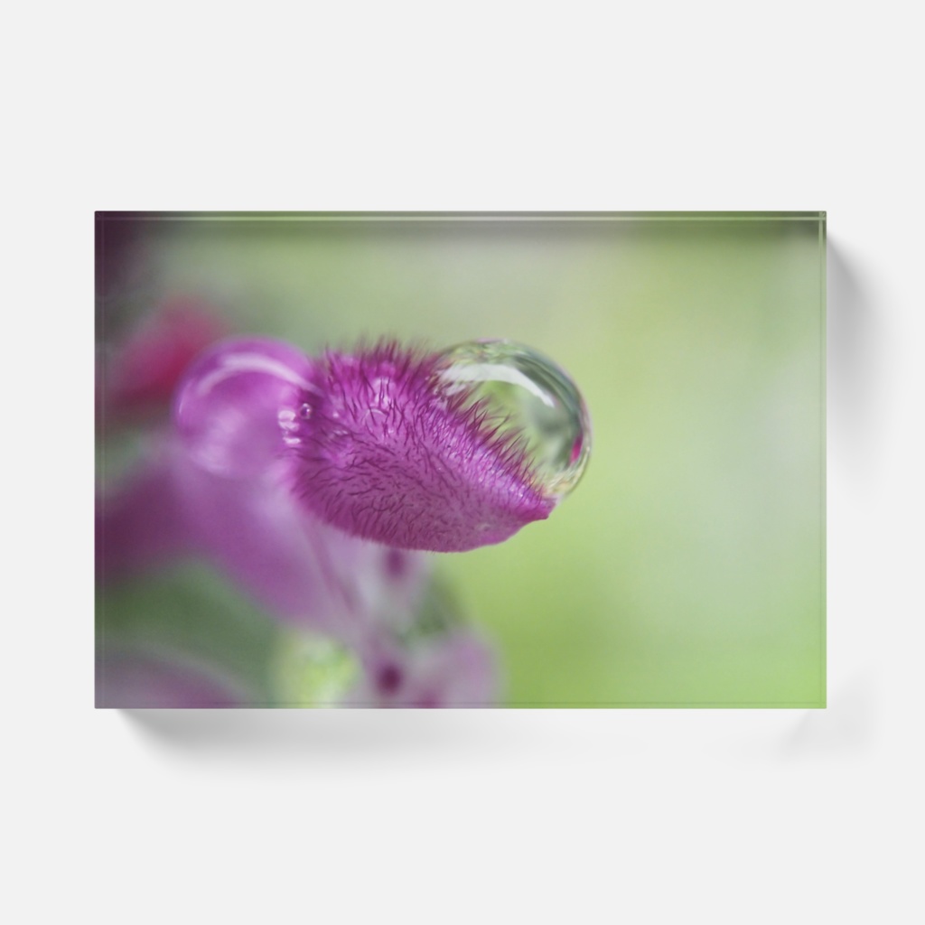 しずく-Y-0104、アクリルブロック