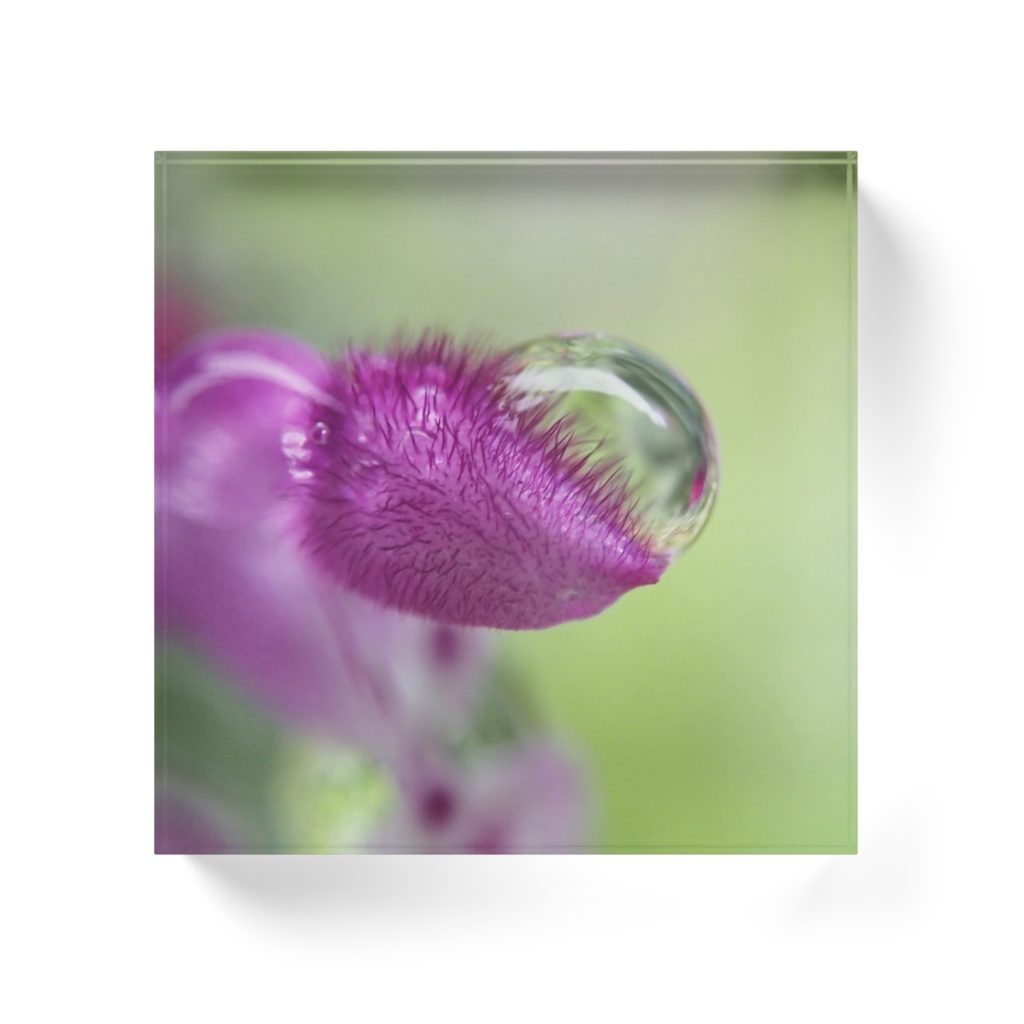 しずく-0104、アクリルブロック