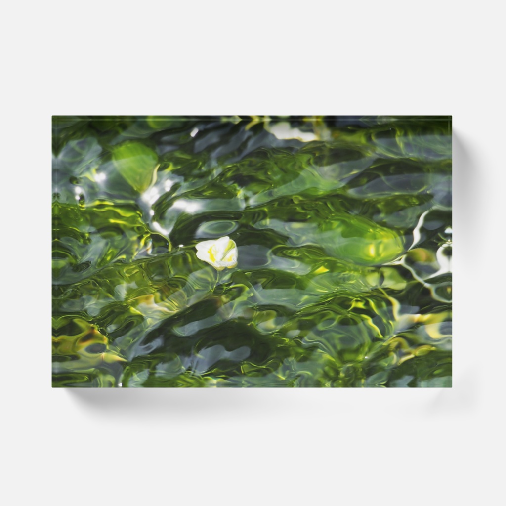 水中花-Y-0117、アクリルブロック
